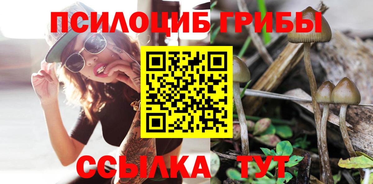 Псилоцибиновые грибы мухоморы Знаменск